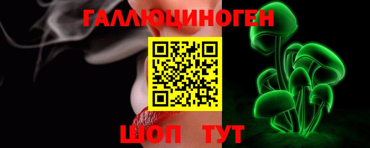 Псилоцибиновые грибы MAGIC MUSHROOMS  Галлюциногенные грибы Cubensis  купить  сайты  Курчалой  Вход с VPN 