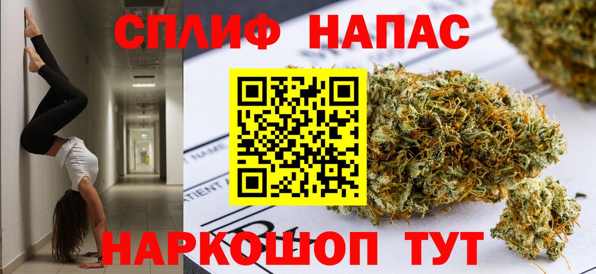 ГАШ Курчалой